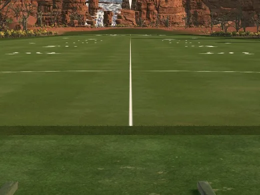 A fairway rendered on the simulator screen.